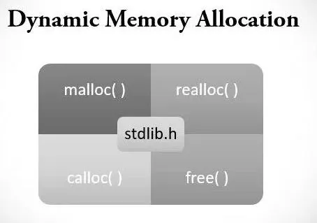 Understanding Dynamic Memory Allocation in C